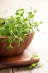 Wall Mural - fresh thyme herb in wooden bowl