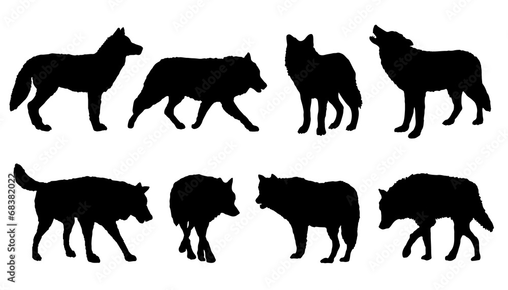 wolf silhouettes - obrazy, fototapety, plakaty 
