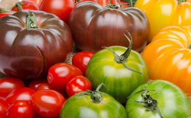 Different varieties of tomatoes