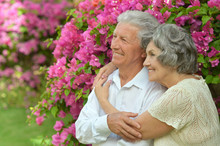 Elder Couple On Pink Flowers