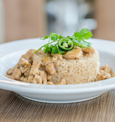 Wall Mural - Chicken with brown sauce on rice