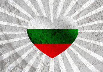 Poster - Bulgaria flag themes idea design on wall texture background