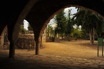 Bar'am National Park, Israel