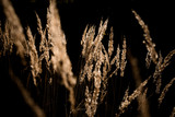 160_f_68446482_xxs8bhwp2niipcr9suovwzojoyv8i0a5