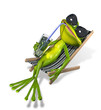frog in a deckchair