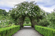 Beautiful arch formed by flowers