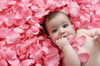 Bambina su petali rosa
