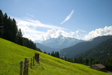 Canvas Print - Ahornspitze - Zillertal - Alpen