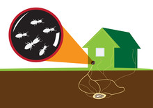 Termites Attack Home From Underground. Vector And Raster