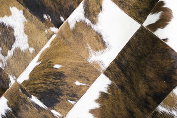 Animal Skin Rug