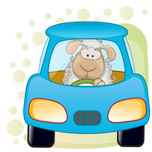 Sheep In A Car