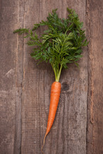 Fresh Carrot Bunch On Grungy Wooden Background