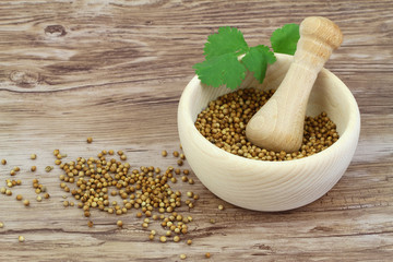 Coriander seeds in mortar and fresh coriander leaves