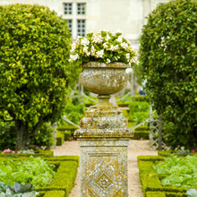 Gardens Chateau Villandry Loire Valley France