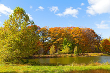 Colorful Fall Foliage Of Deciduous Trees Near The Water.