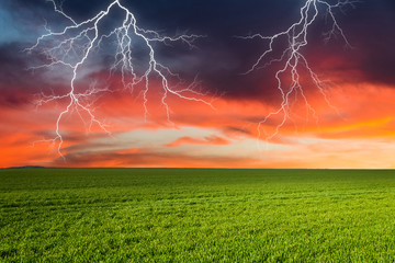 Wall Mural - Thunderstorm with lightning in green meadow