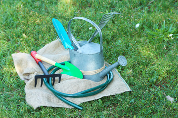 Wall Mural - Garden tools on green grass background