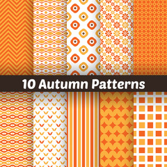 Wall Mural - autumn vector seamless patterns. endless texture for wallpape