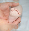 © epitavi - Newborn foot closeup