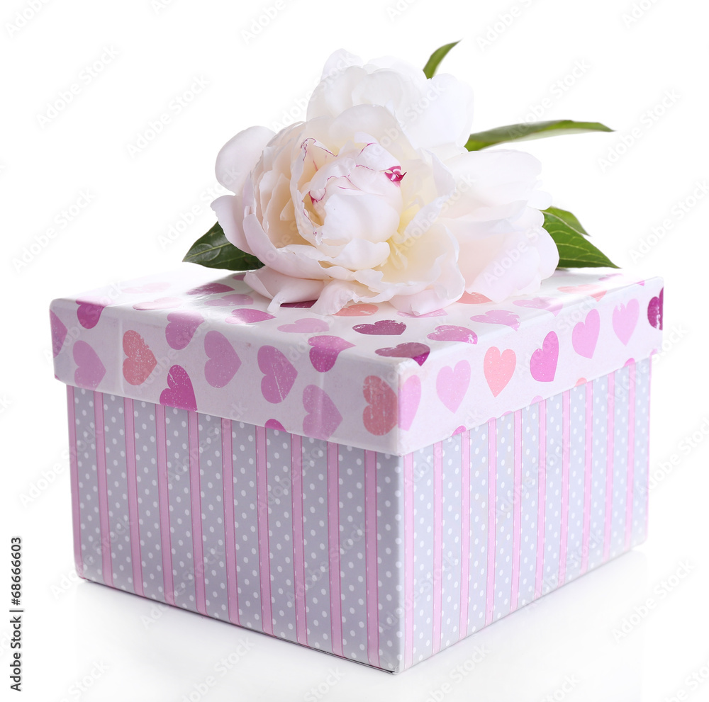 Beautiful peony flower and gift box, isolated on white