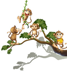 Poster - A tree with four monkeys