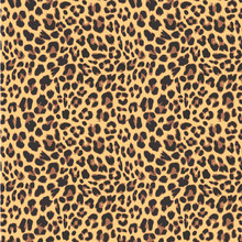 Leopard Seamless Pattern Design, Vector Illustration Background
