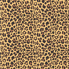 Leopard seamless pattern design, vector illustration background