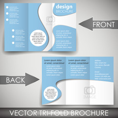 Wall Mural - business tri fold flyer template or corporate banner