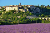 Fototapeta  - Provence rural landscape