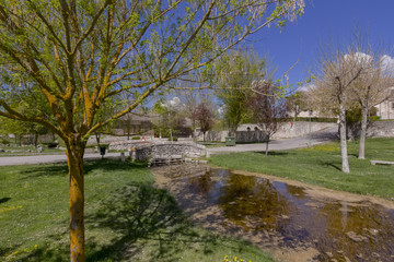 Wall Mural - green meadow with trees and a creek one day in sun