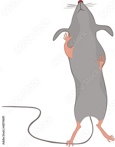 Petite Souris Grise Debout Stock Vector Adobe Stock Petite Souris Grise Debout Stock Vector Adobe Stock