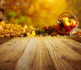 Wall Mural - autumn background