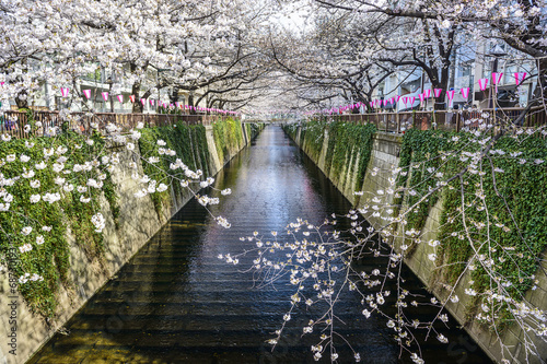 Tapeta ścienna Kanał meguro w tokio, w Japonii