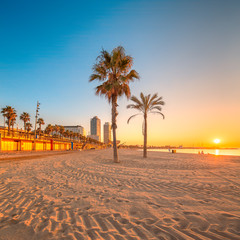 Wall Mural - barceloneta beach in barcelona at sunrise