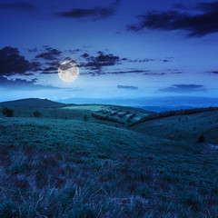 light on mountain slope with forest at night