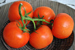 © trinetuzun - verse tros tomaten