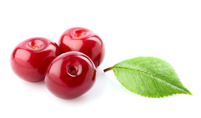 Poster - Berries of cherry and leaf.