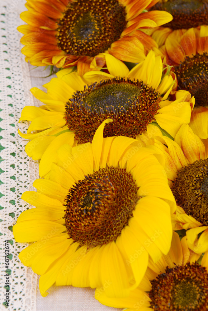 Beautiful sunflowers in pitcher on napkin on table close up