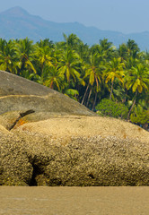 Wall Mural - Beach with palm trees