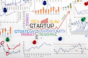 Wall Mural - startup concept with financial and marketing chart