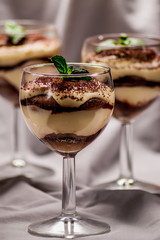 Wall Mural - Tiramisu dessert