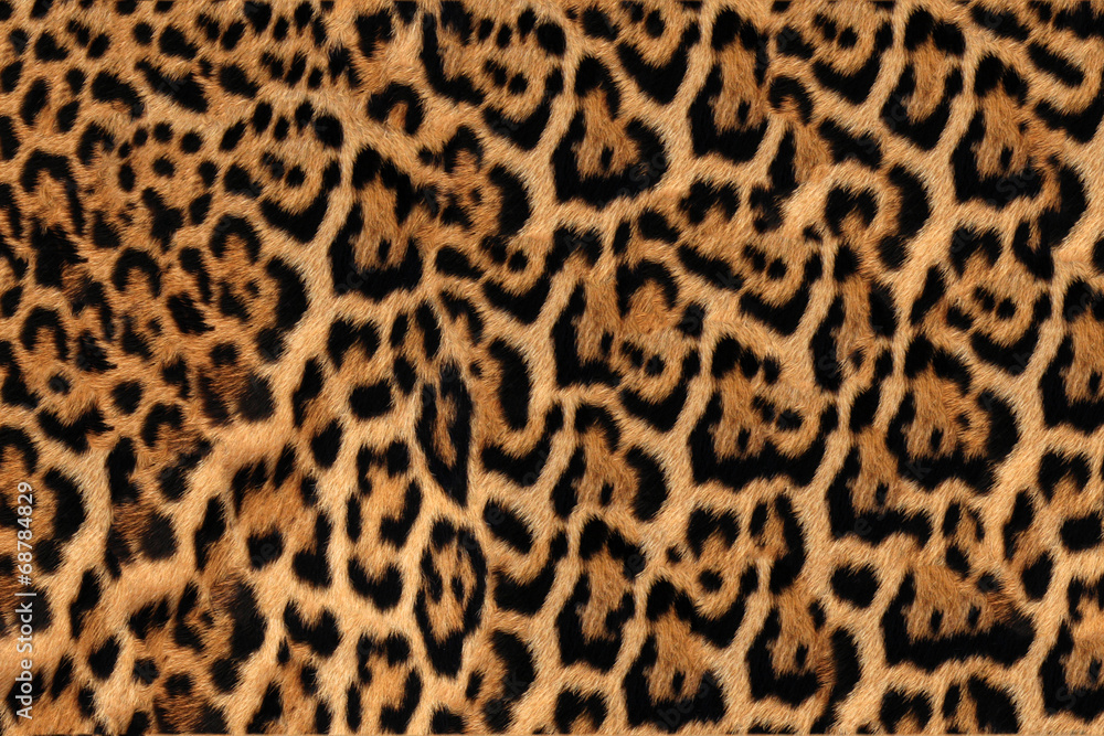 Jaguar, leopard and ocelot skin texture - obrazy, fototapety, plakaty 