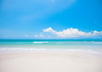 Wall Mural - beach with white sand and sea