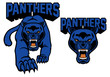 black panther mascot