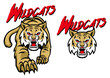 wildcats mascot