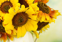 Beautiful Sunflowers In Pitcher On Bright Background