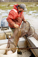 Wall Mural - Eel Fisherman