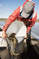 Wall Mural - Eel Fisherman