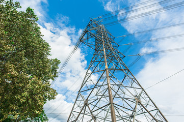 High voltage pole with trees