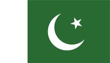 Fototapeta  - Illustration of the flag of Pakistan
